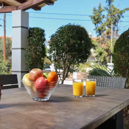 Beta 2 - 3min Walk To Elephant And Mako Villa Pefkochori